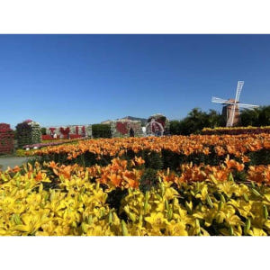 대만 타이페이 출발: 타이중 인스타그램 일일 투어 솔직 후기 | 실사용자 리뷰 분석 - 상품 이미지 2