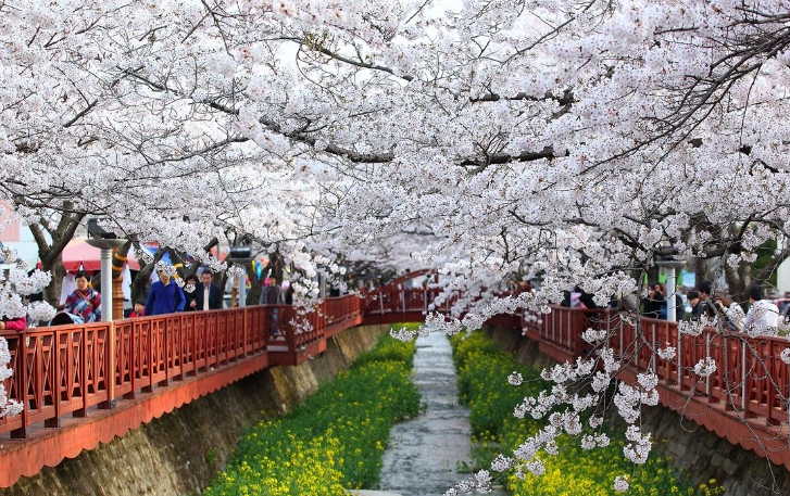 KTX 봄꽃 진해 군항제&부산 시티투어 1박2일 기차여행 (국내 봄여행 코레일 패키지) 이미지 4