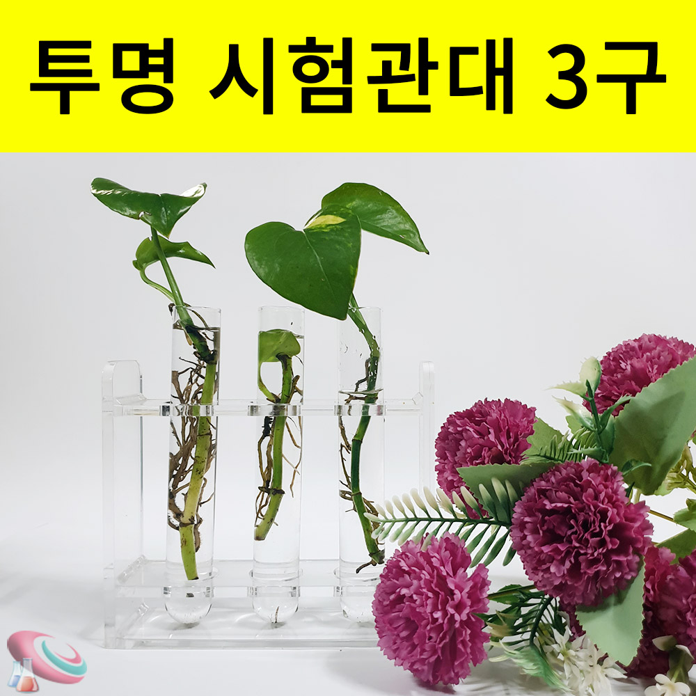 물꽂이 투명실린더 꽃병 아크릴 시험관대 촬영소품 플랜테리어 - 상세 이미지 2