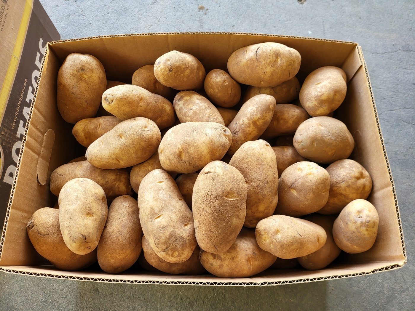 미국감자 러셋감자 2kg, 1개 이미지 7
