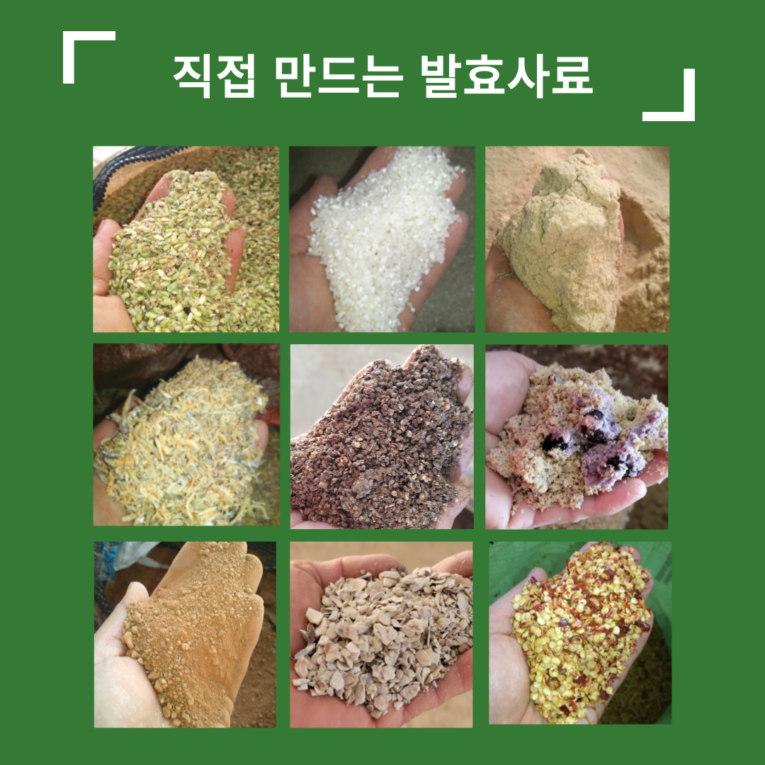 동물복지 유정란 계란 선택법 먹어본 후기 건강한 식품