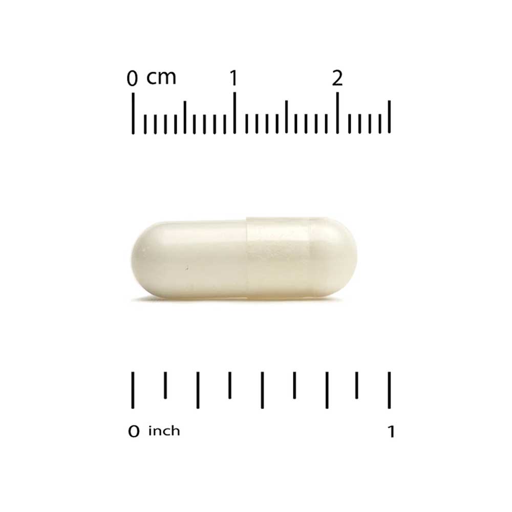 캘리포니아골드뉴트리션 NMN 니코틴아마이드 175mg 60캡슐 - 상세 이미지 2