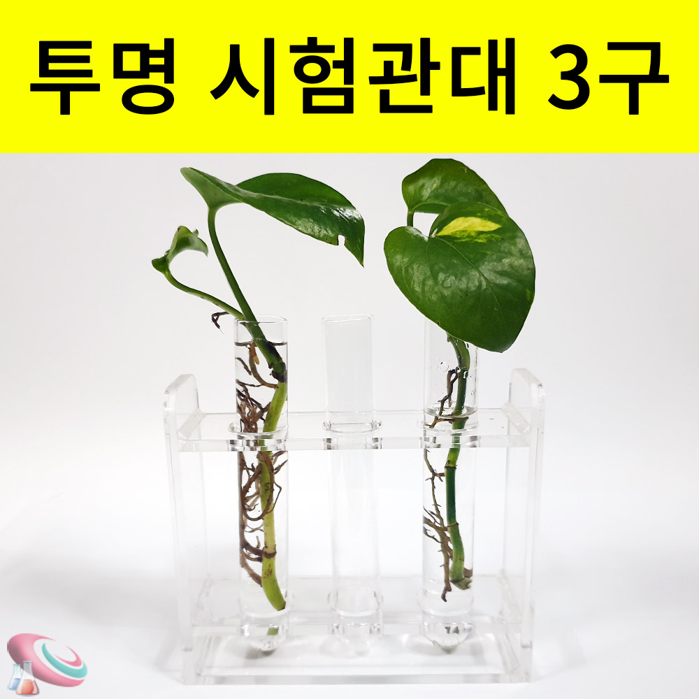 물꽂이 투명실린더 꽃병 아크릴 시험관대 촬영소품 플랜테리어 - 상세 이미지 3