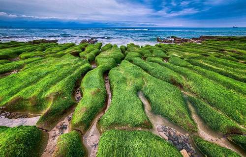 대만 타이페이 펀 패스 (교통편 패스 / 타오위안 공항 수령) 이미지 4