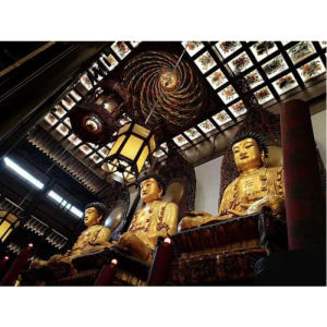 중국 상하이 개인 및 맞춤형 가이드 투어 솔직 후기 | 실사용자 리뷰 분석 - 상품 이미지 3