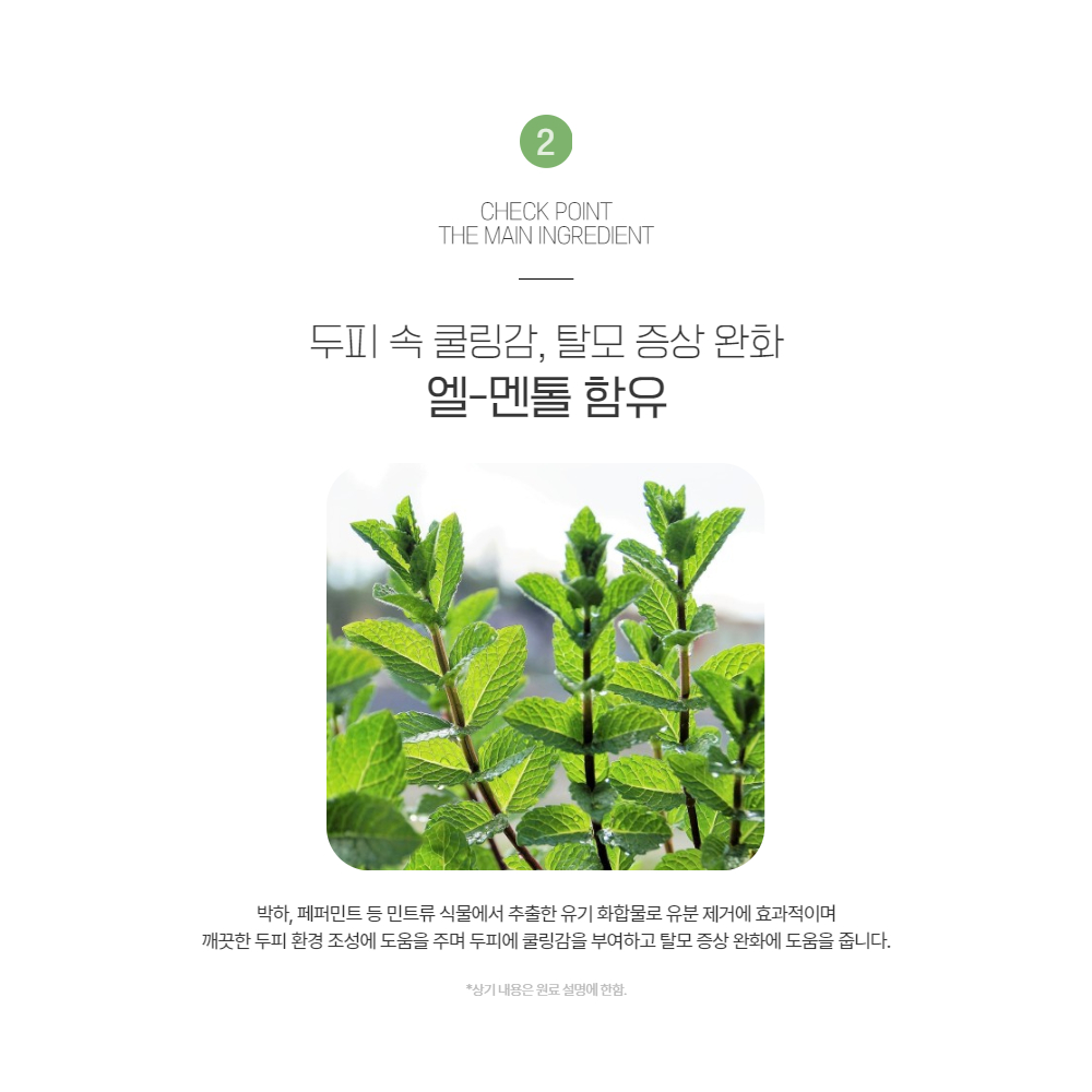셀비아 스칼피아 리페어 플러스 헤어팩 단백질헤어팩 이미지 7