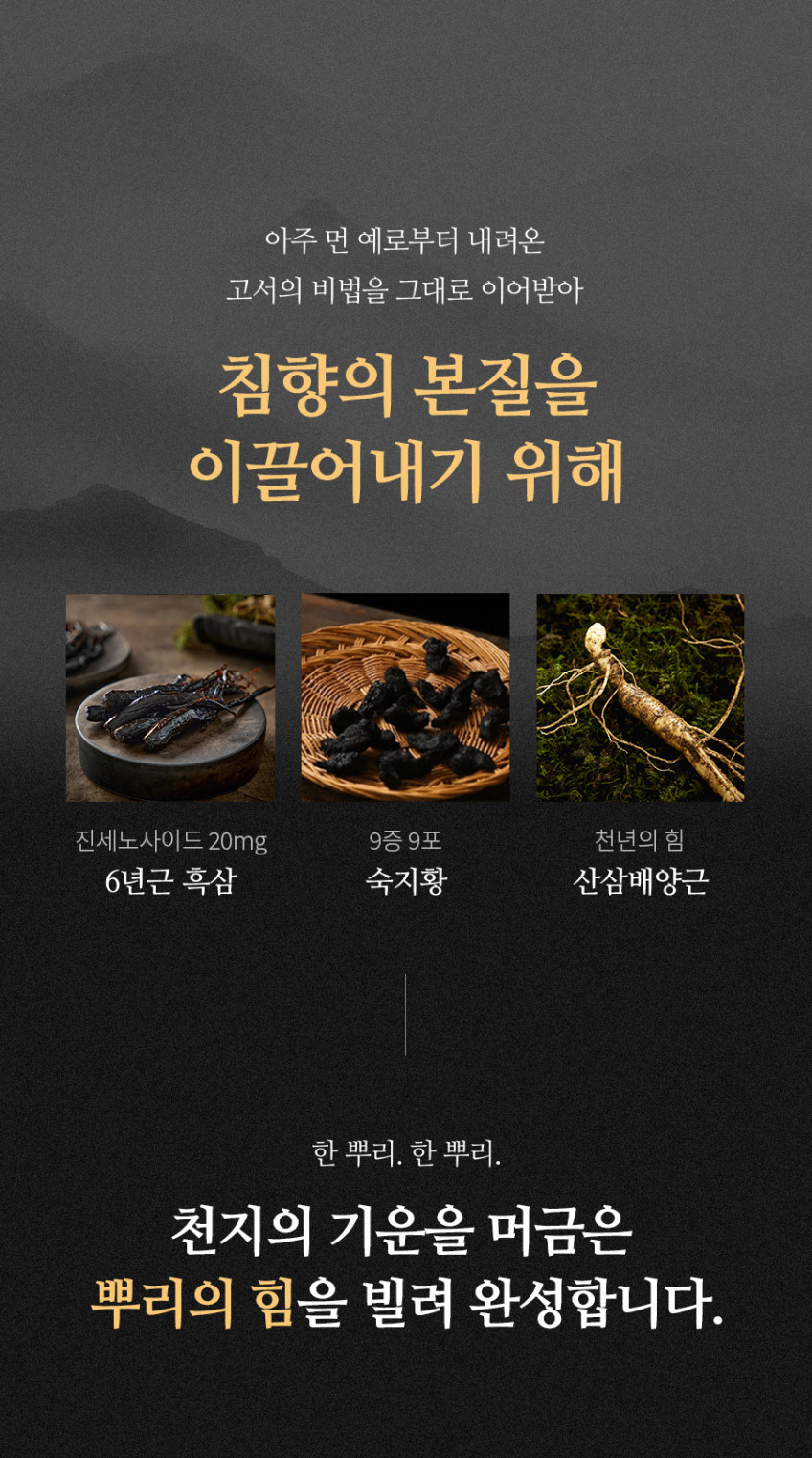 조선황림 프리미엄 발효침향환 / 침향에센스 함유/ 침향단 황제 효능 1박스60환 판매처 상세 정보 이미지 3