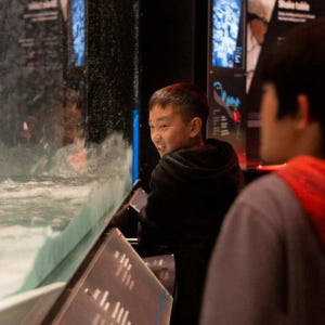 뉴질랜드 북섬 박물관 테파파 통가레와 투어 솔직 후기 | 실사용자 리뷰 분석 - 상품 이미지 3