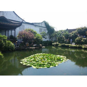 중국 쑤저우 & 저우좡 워터 빌리지 일일 투어 (상하이 출발) 솔직 후기 | 실사용자 리뷰 분석 - 상품 이미지 4