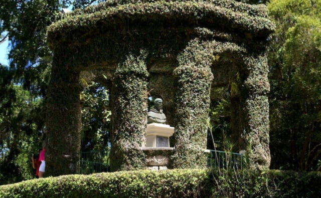 브라질  리우데자네이루 Botanical garden guided tour