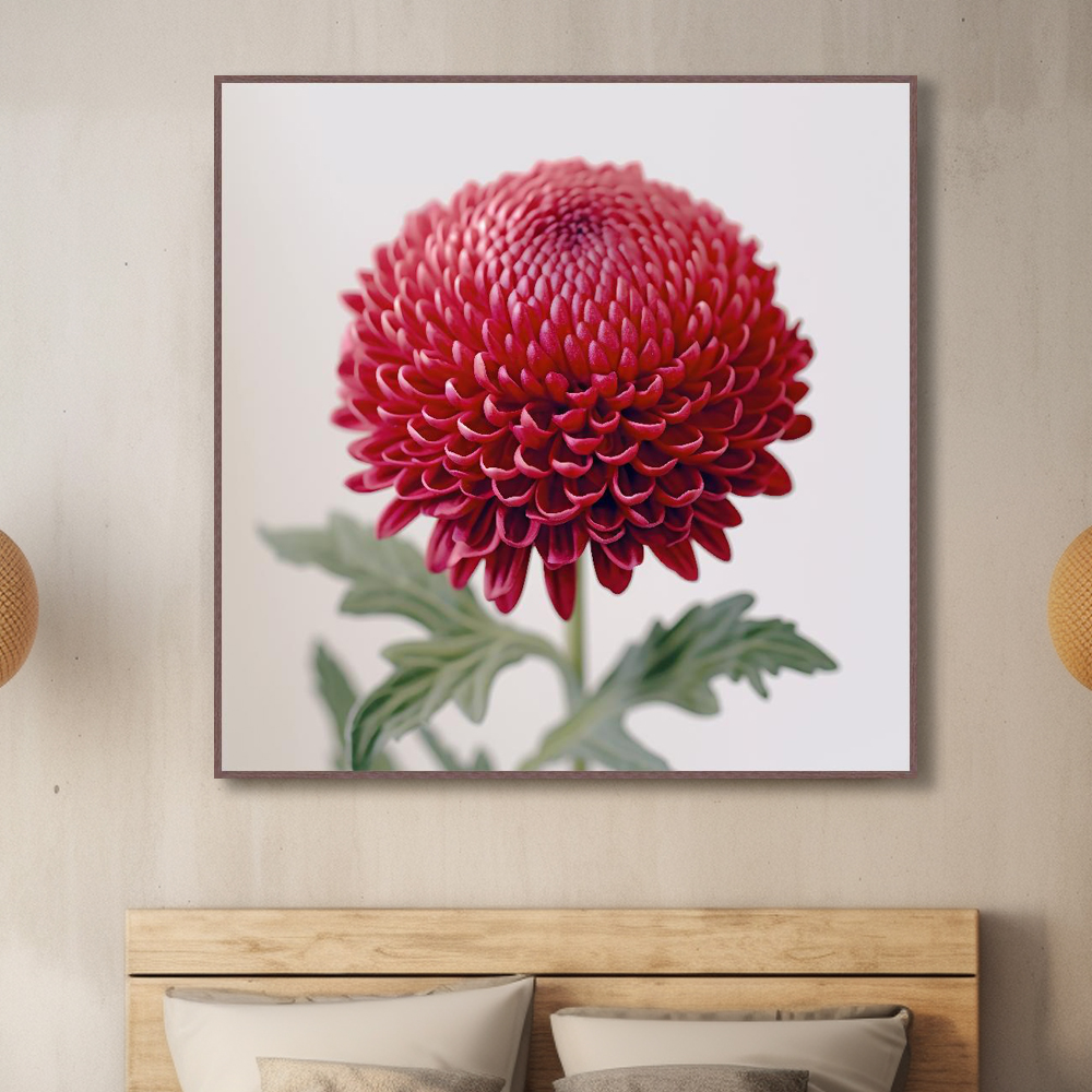 평화 국화 45x45 무광화이트 알루미늄액자 국화그림 매난국죽 - 상세 이미지 4
