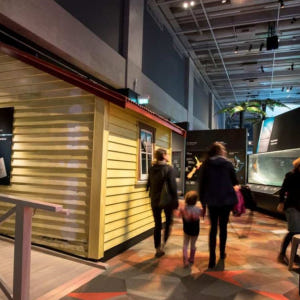 뉴질랜드 북섬 박물관 테파파 통가레와 투어 솔직 후기 | 실사용자 리뷰 분석 - 상품 이미지 2