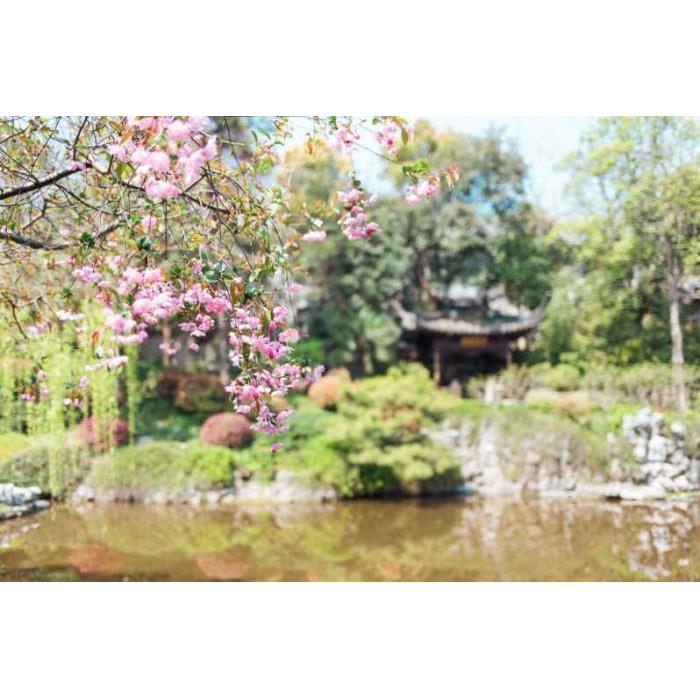 중국 상하이 출발 쑤저우 프라이빗 차량 전일 여행 이미지 4