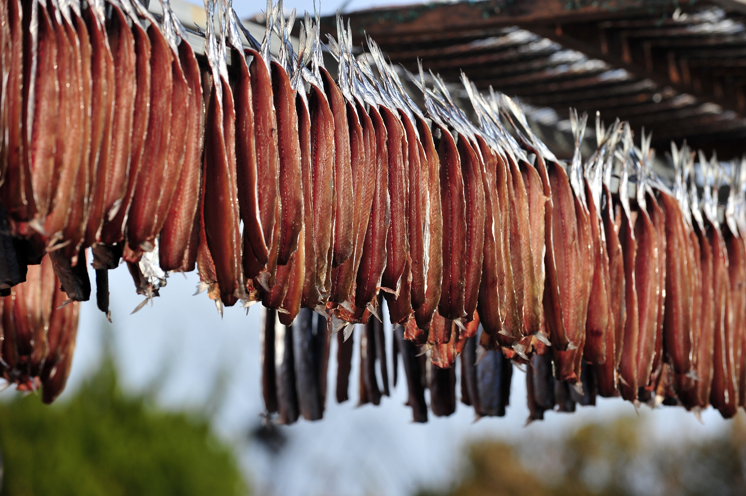 포항 구룡포 햇 과메기 철 야채 세트 해초 꽁치 청어 상세 이미지 3
