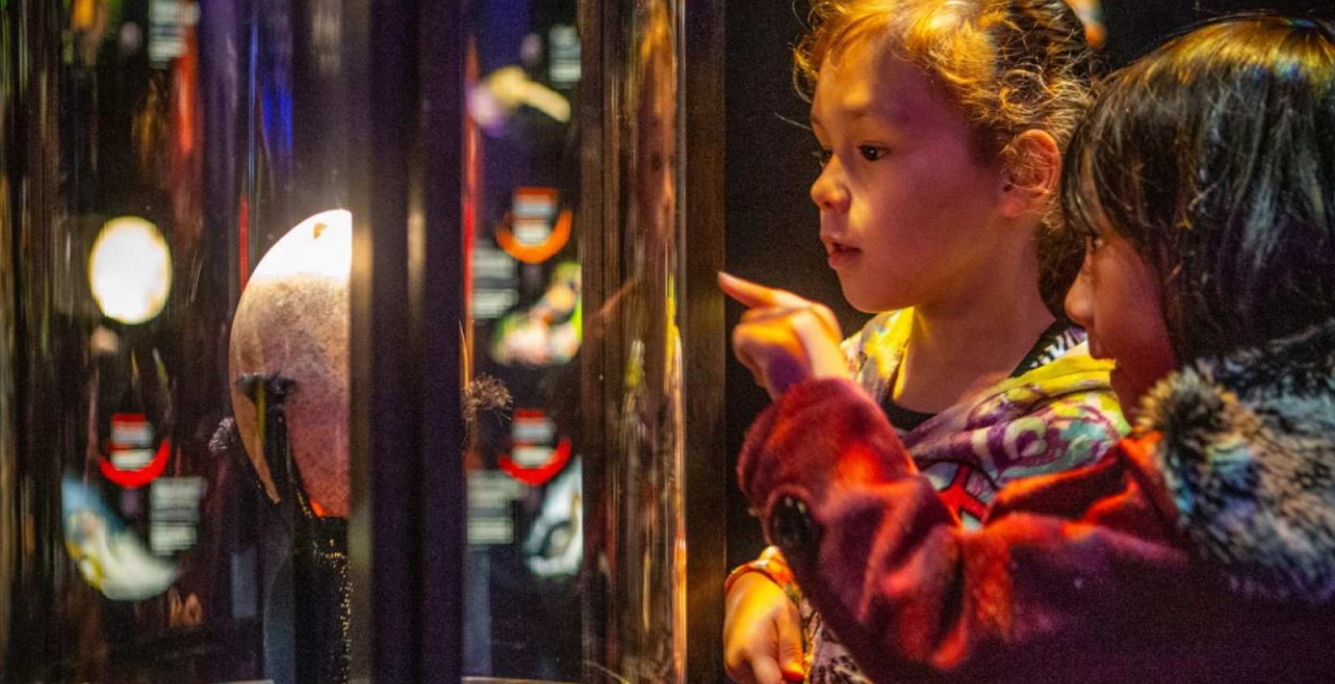 뉴질랜드 북섬 박물관 테파파 통가레와 투어 이미지 4