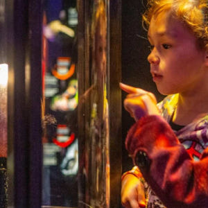 뉴질랜드 북섬 박물관 테파파 통가레와 투어 솔직 후기 | 실사용자 리뷰 분석 - 상품 이미지 4