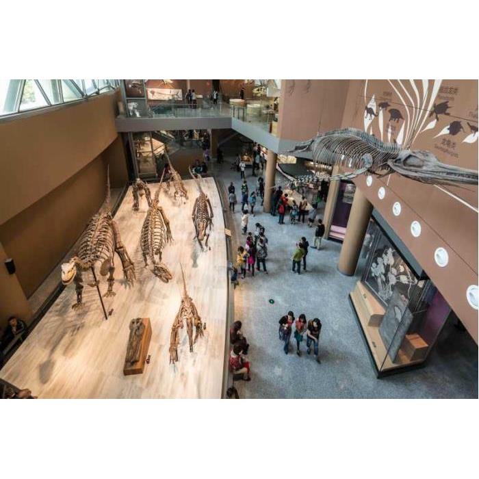 중국 상하이 박물관 프라이빗 투어 이미지 2