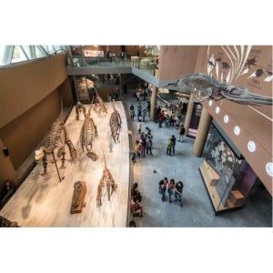 중국 상하이 박물관 프라이빗 투어 솔직 후기 | 실사용자 리뷰 분석 - 상품 이미지 2