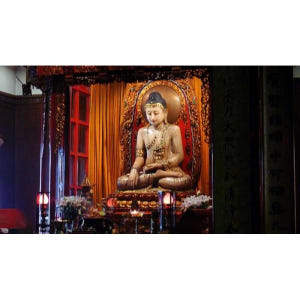 중국 상하이 8시간 프라이빗 시티 투어 솔직 후기 | 실사용자 리뷰 분석 - 상품 이미지 2