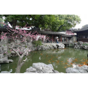 중국 상하이 3.5시간 올드 상하이 시티 투어 솔직 후기 | 실사용자 리뷰 분석 - 상품 이미지 2