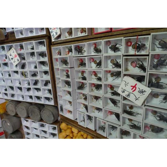 중국 상하이 3.5시간 올드 상하이 시티 투어 이미지 4