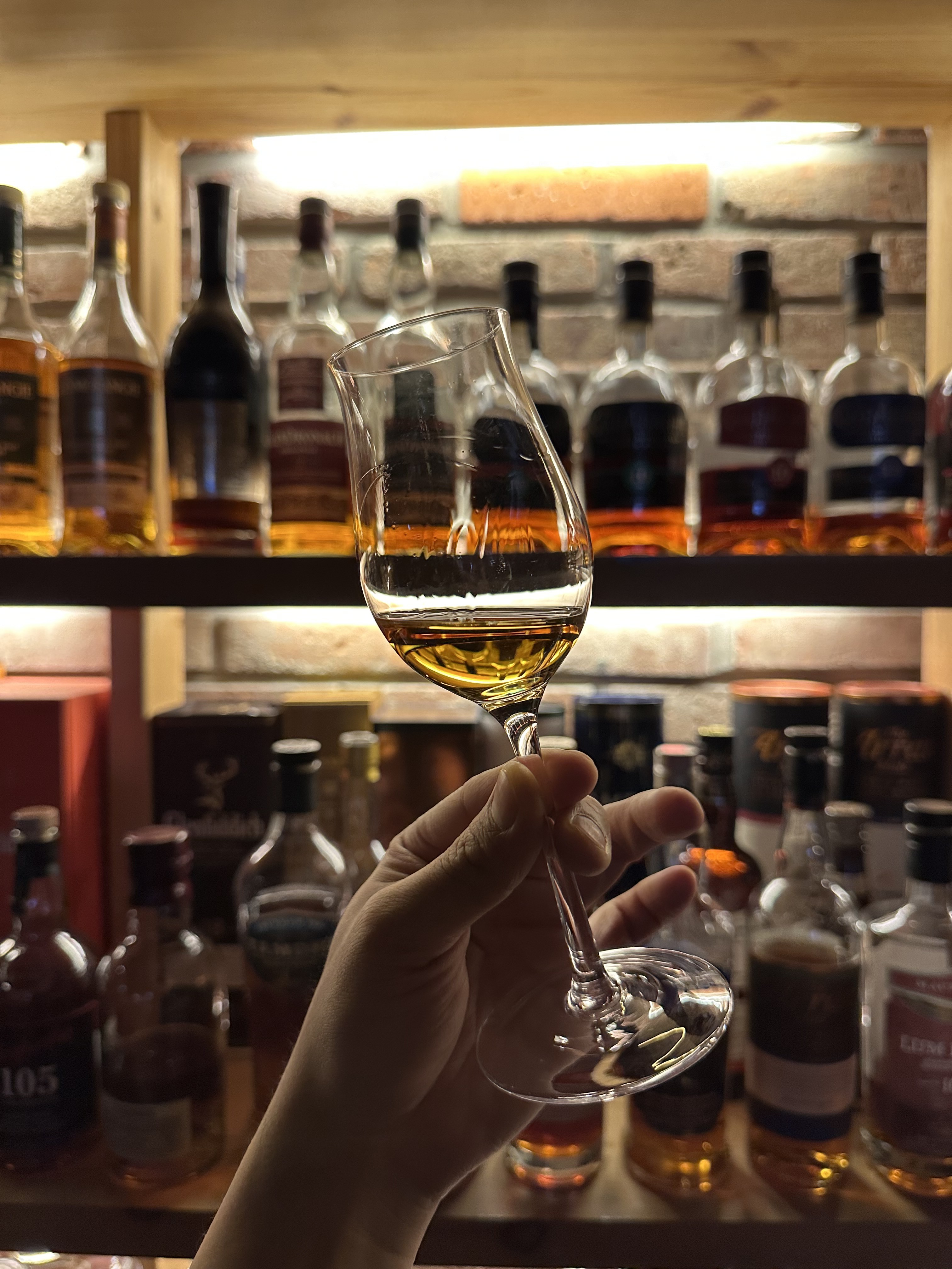 스탠다드 위스키잔 노징글라스 싱글몰트 니트잔 250ml