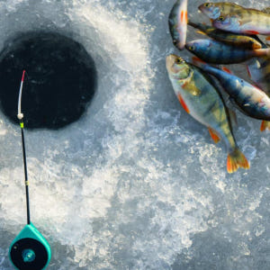 캐나다 옐로나이프 원주민 얼음 낚시 시연 투어 솔직 후기 | 실사용자 리뷰 분석 - 상품 이미지 3