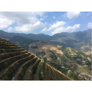 중국 광시성 구이린 롱셩 라이스 테라스 2일(교통편 및 호텔 포함) 솔직 후기 | 실사용자 리뷰 분석 - 상품 이미지 2