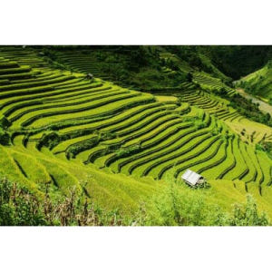 중국 광시성 구이린 롱지 테라스 프라이빗 데이 투어 솔직 후기 | 실사용자 리뷰 분석 - 상품 이미지 1