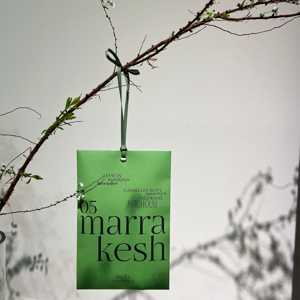 [천연질석 차량용,옷장 방향제 퍼퓸샤쉐 4+1기획상품]