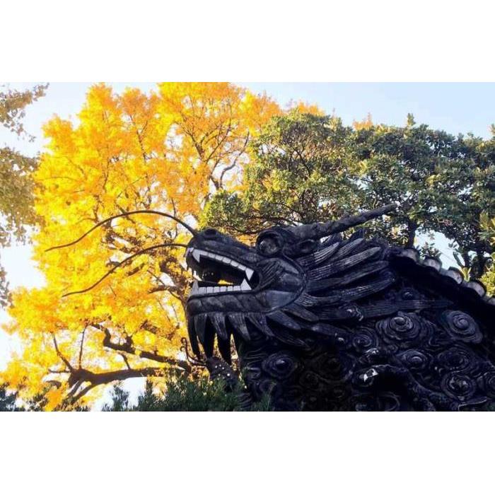 중국 상하이 예원 및 성신사 프라이빗 워킹 투어 이미지 3