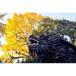 중국 상하이 예원 및 성신사 프라이빗 워킹 투어 솔직 후기 | 실사용자 리뷰 분석 - 상품 이미지 3