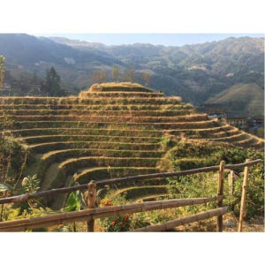 중국 광시성 구이린 롱셩 라이스 테라스 2일(교통편 및 호텔 포함) 솔직 후기 | 실사용자 리뷰 분석 - 상품 이미지 1