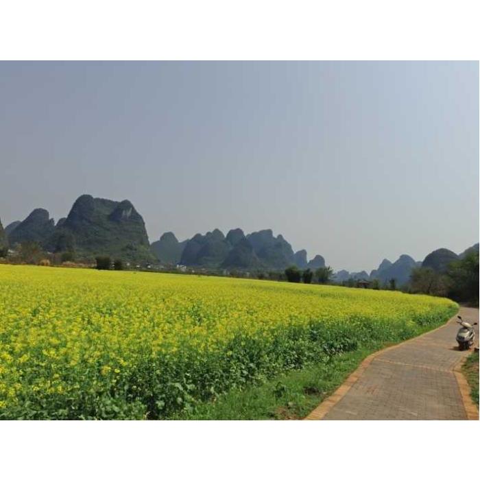 중국 광시성 구이린 양수오(YANGSHUO) 전일 프라이빗 시골 하이킹 투어 이미지 3