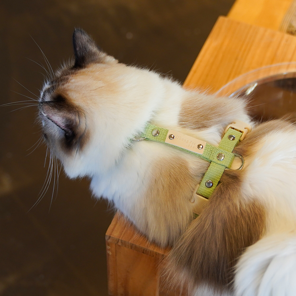 고양이 하네스 순면 H형 이름표 인식표 가슴줄 XS 기본타입 이미지 4