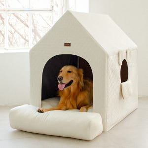 초코펫 중형견 대형견 실내 강아지집 에브리데이하우스 3.0 특대형 솔직 후기 | 실제 사용자 리뷰 총정리 - 상품 이미지 4