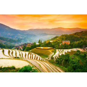 중국 광시성 구이린 롱지 테라스 프라이빗 데이 투어 솔직 후기 | 실사용자 리뷰 분석 - 상품 이미지 4