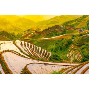 중국 광시성 구이린 롱지 테라스 프라이빗 데이 투어 솔직 후기 | 실사용자 리뷰 분석 - 상품 이미지 3