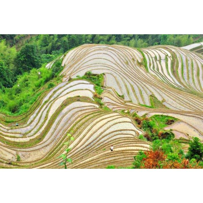 중국 광시성 구이린 롱지 테라스 프라이빗 데이 투어 이미지 2