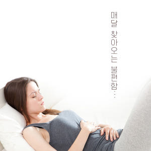 감마리놀렌산 보라지유 월경전 PMS 증후군 대두이소플라본 맛있게 먹은 솔직 후기 - 상품 이미지 3
