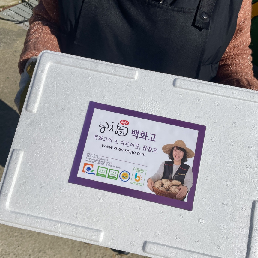 참고: 백화고의 또 다른 이름, 참솔고 www.chamsolco.com 전라남도 무안군 무농약 인증: 제53069610 농산물 우수 관리 인증: 850550988 농촌 융복합 산업 사업자 등록: 제2021-16-0120 무농약 GAP 6