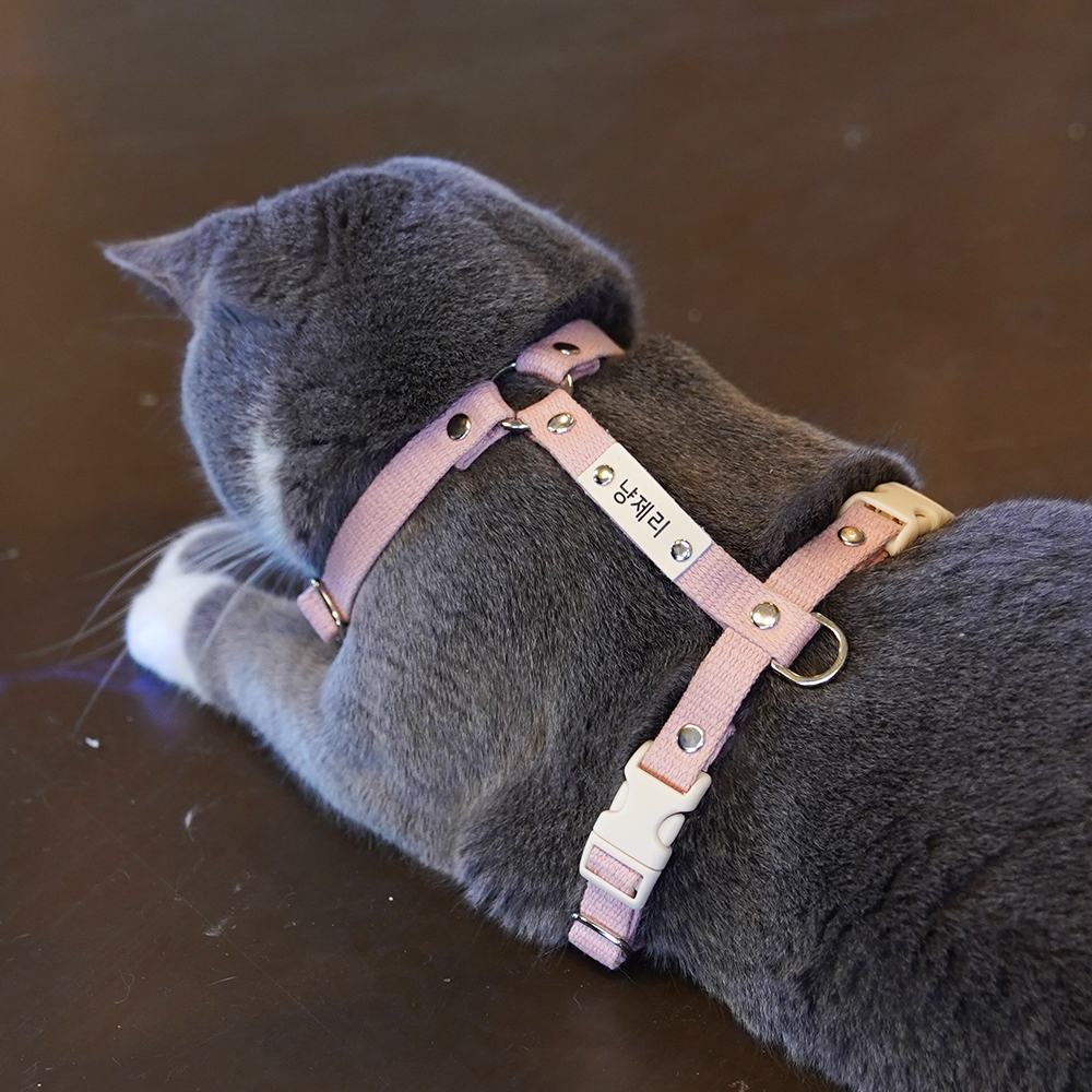 고양이 하네스 순면 H형 이름표 인식표 가슴줄 XS 기본타입 이미지 3