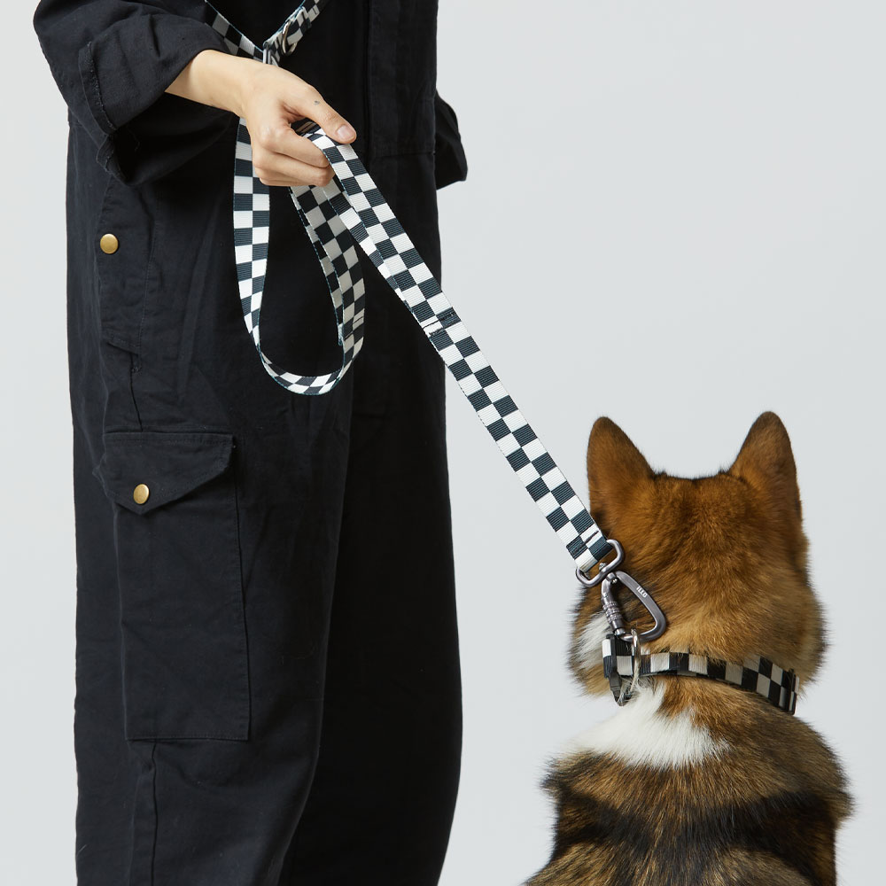 일로 맥스 리쉬 리드줄 반려견 산책용품 2m 텐텐, 2.4m 핸즈프리