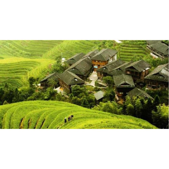 중국 광시성 구이린에서 출발 롱셩 드래곤의 백본 계단식 논 이미지 2