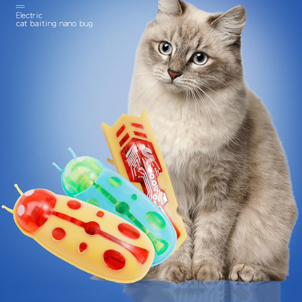 케빈삼촌 고양이 캣 cat 벅스레이싱 벌레 틱톡 무당벅스 레드 - 상세 이미지 3
