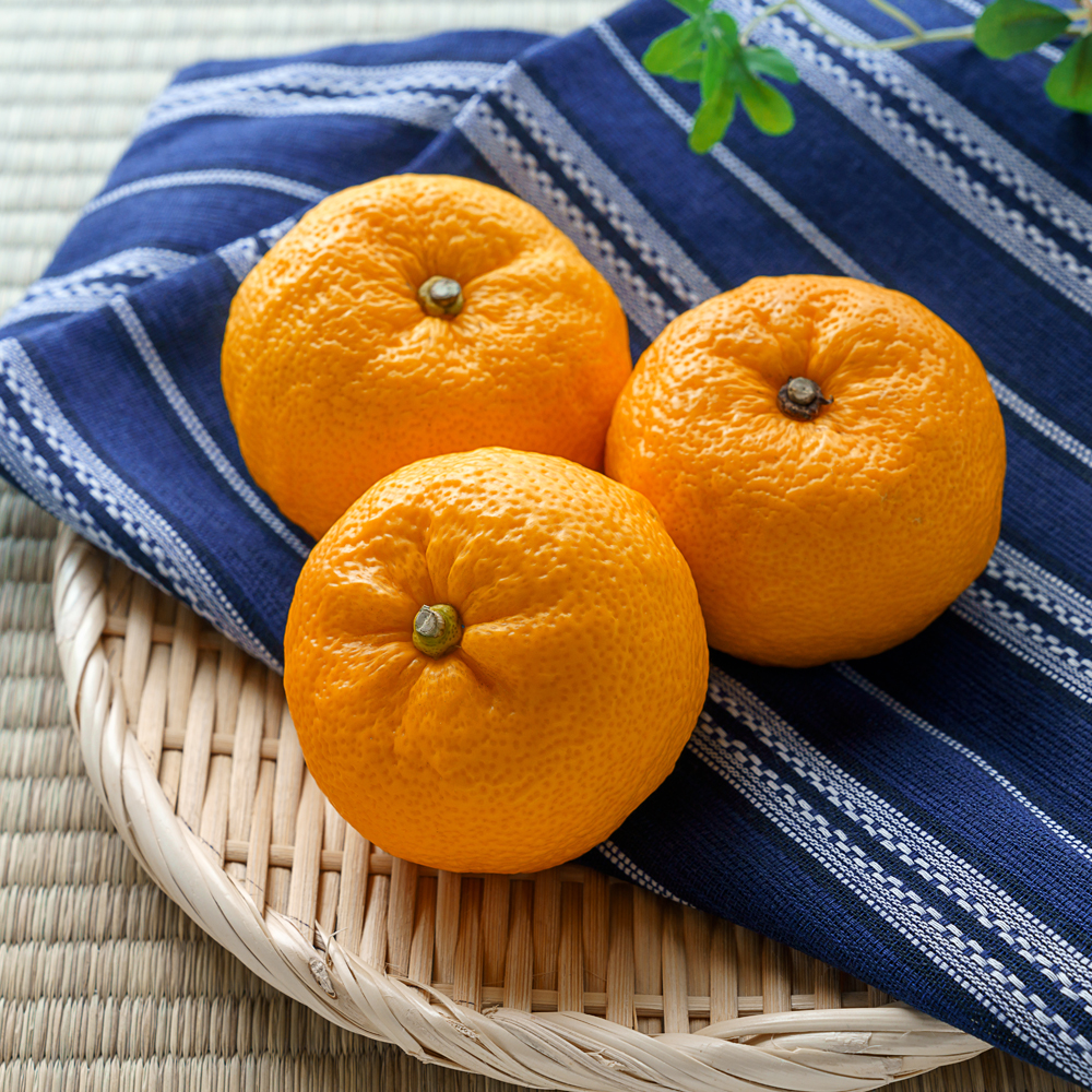 (제주특산)제주 뎅유지차 1kg x 2병 댕유자청 - 상세 이미지 4