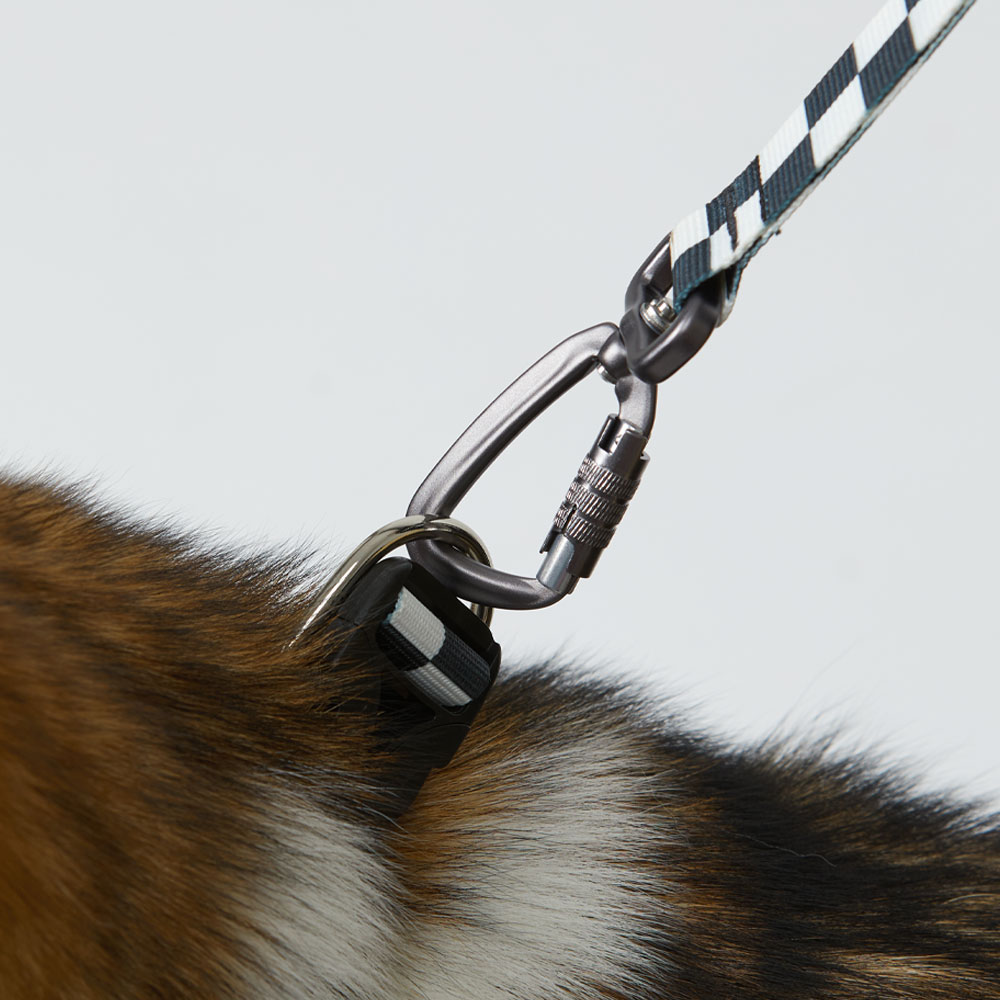 일로 맥스 리쉬 리드줄 반려견 산책용품 2m 텐텐, 2.4m 핸즈프리