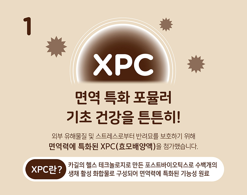 건강백서 고양이 건강한 인도어 캣 기능성사료 6kg (300g x 20ea) - 상세 이미지 5