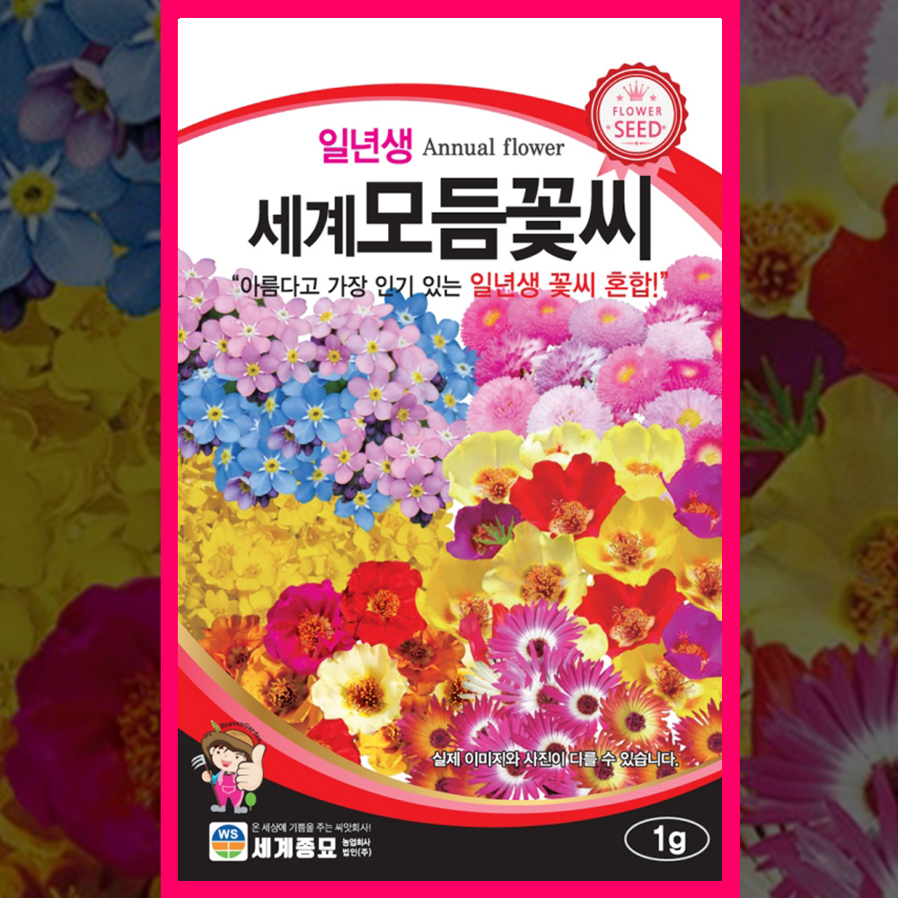 꽃씨 꽃씨앗 물망초 채송화 데이지 알릿섬 3월 4월 봄 파종 꽃씨몰 일년생 1g - 상품 이미지