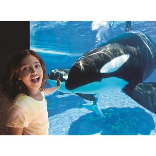 미국 플로리다 올랜도 씨월드 올랜도 솔직 후기 | 실사용자 리뷰 분석 - 대표 이미지